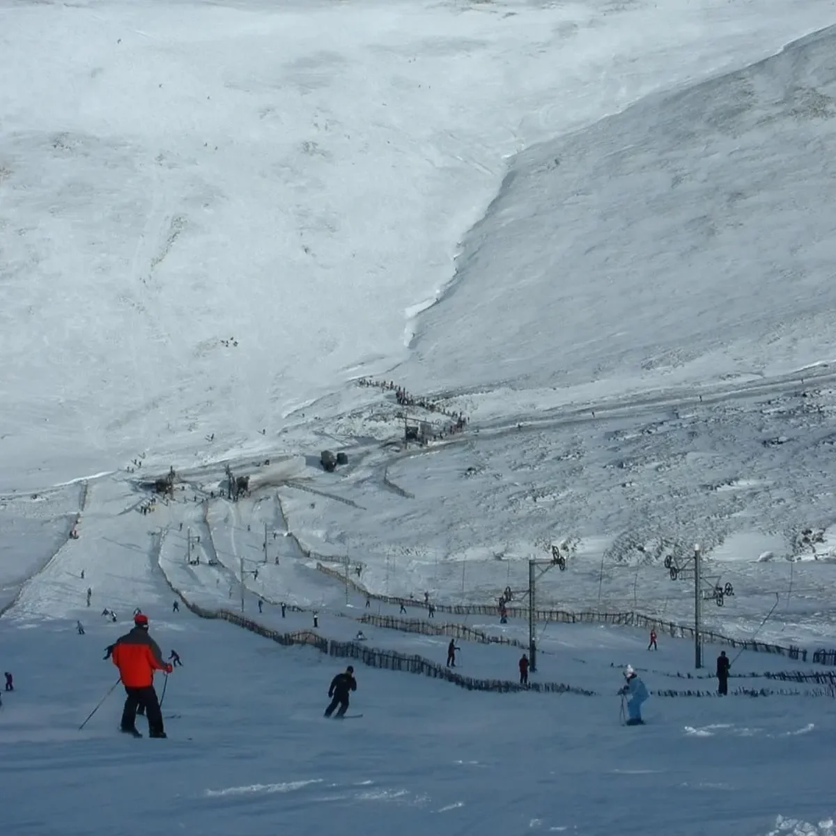 Glenshee Corie Fionn